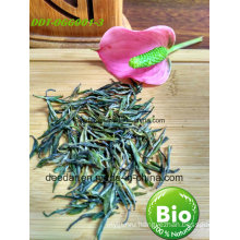 Green Tea of Organic